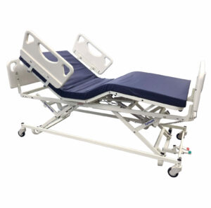 Century Deluxe Long Term Care Bed T8036/T8042